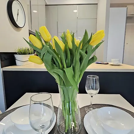 Czechowska Perfect Apartment Lublin