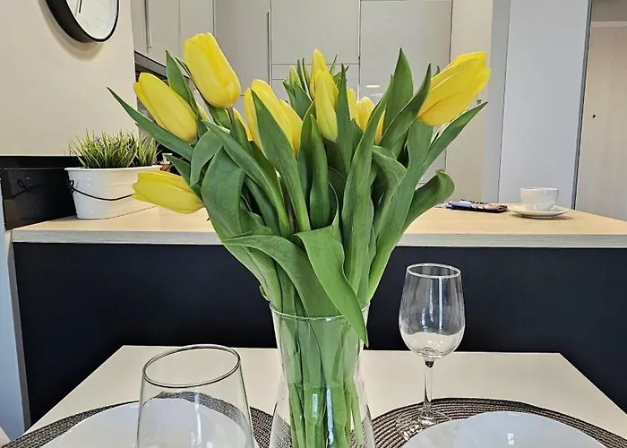 Czechowska Perfect Lejlighed Lublin